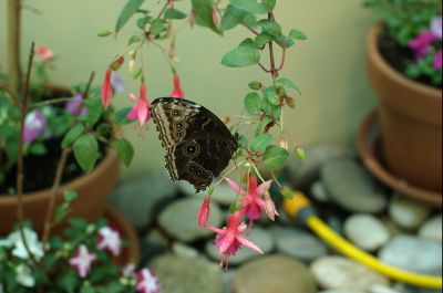 클릭하여 원래 크기로 보기