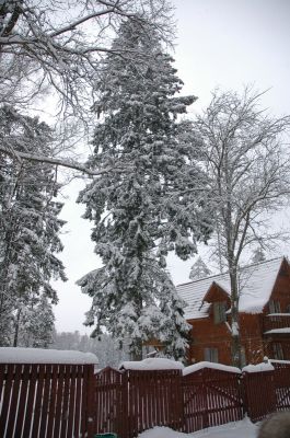 Klikkaa kuvaa nähdäksesi se täysikokoisena