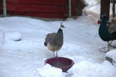 Klikkaa kuvaa nähdäksesi se täysikokoisena