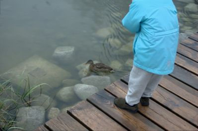 클릭하여 원래 크기로 보기