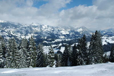 Swiss_0313.JPG