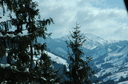 Swiss_0306.JPG